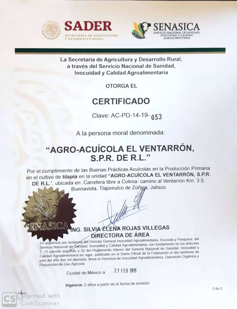 certificado_1
