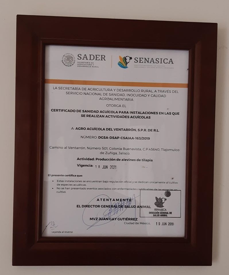 certificado 5