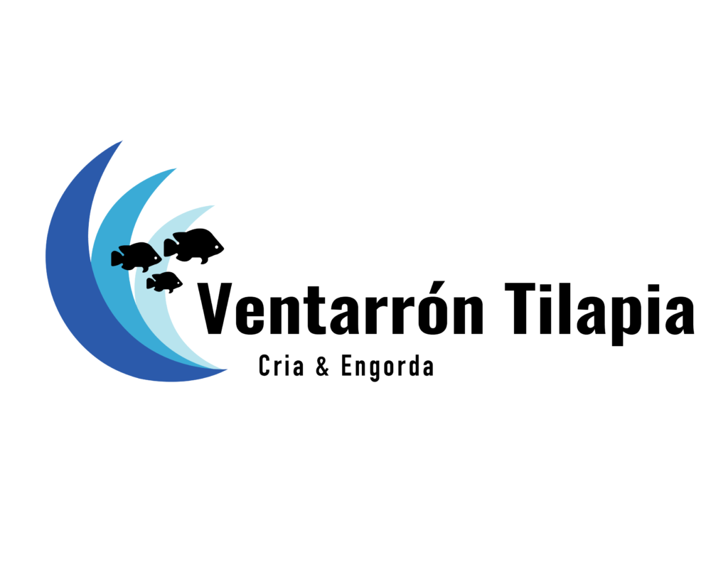 Alevines de tilapia nilotica