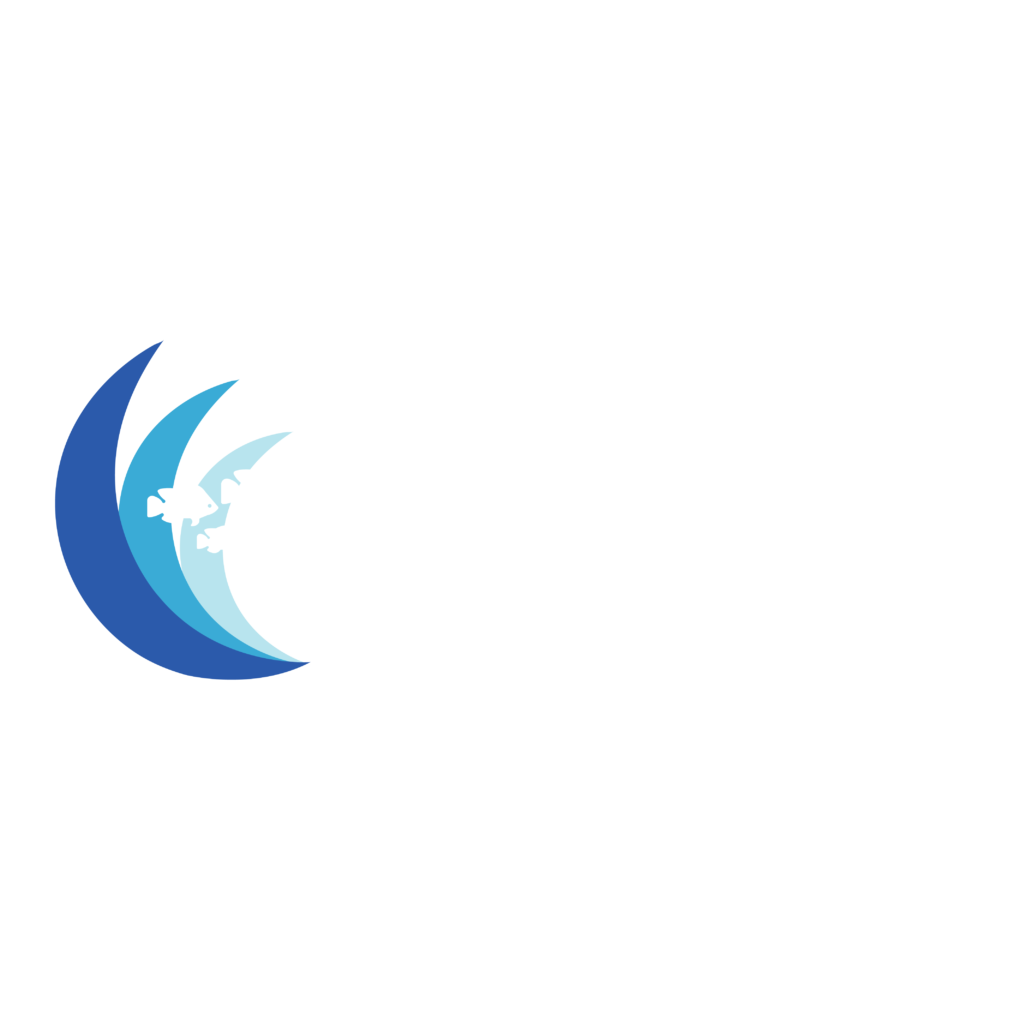Alevines de tilapia nilotica