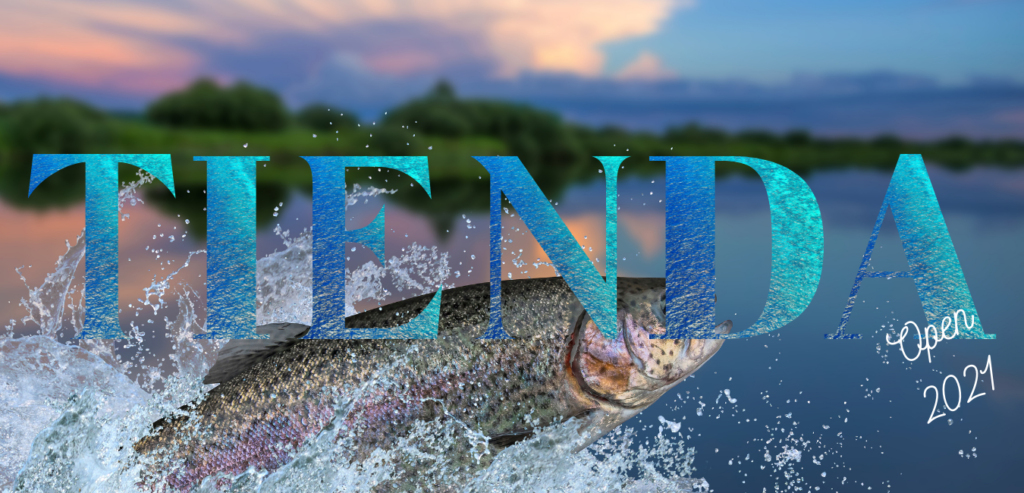 Alevines de tilapia nilotica
